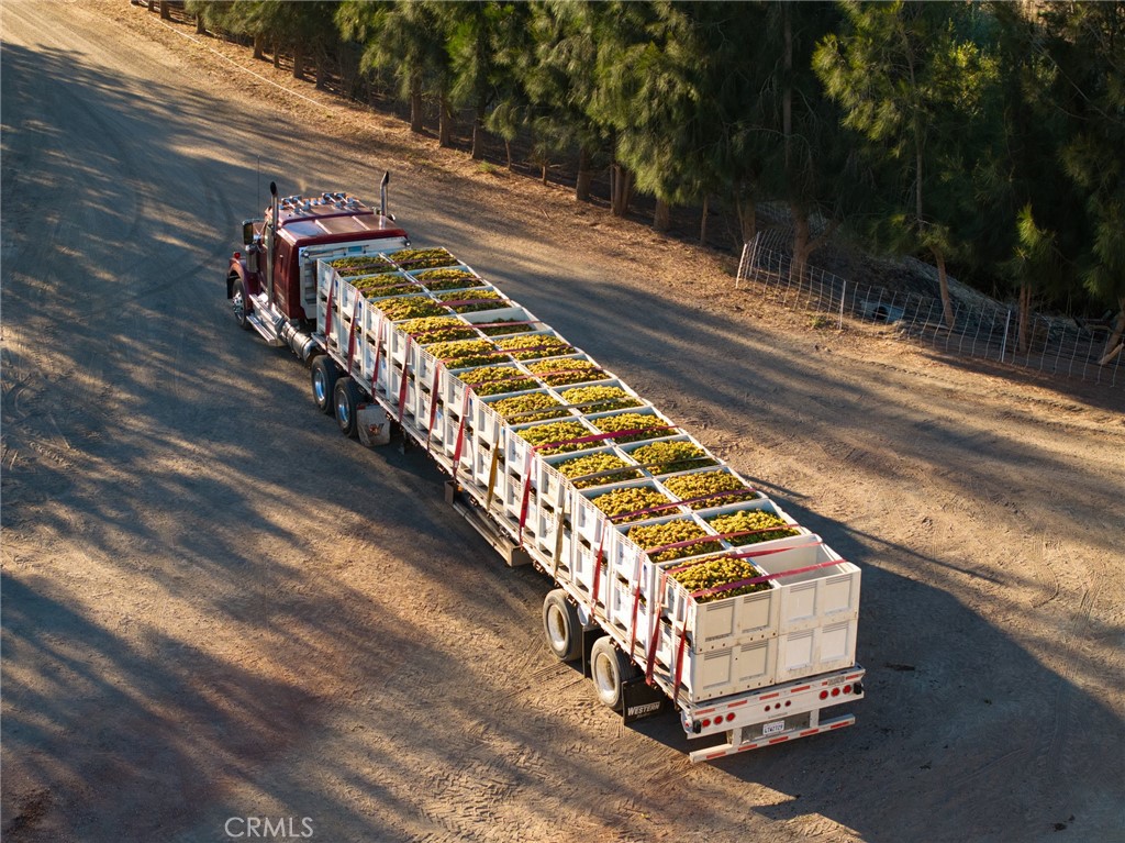 5502 Los Ranchos Road