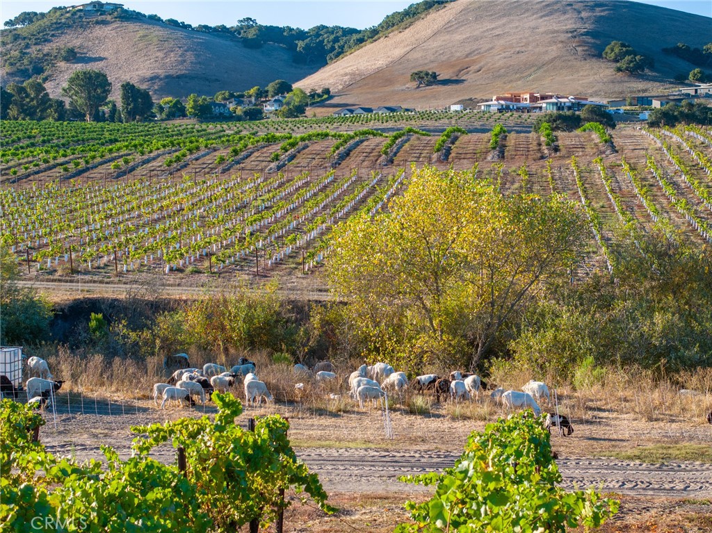 5502 Los Ranchos Road