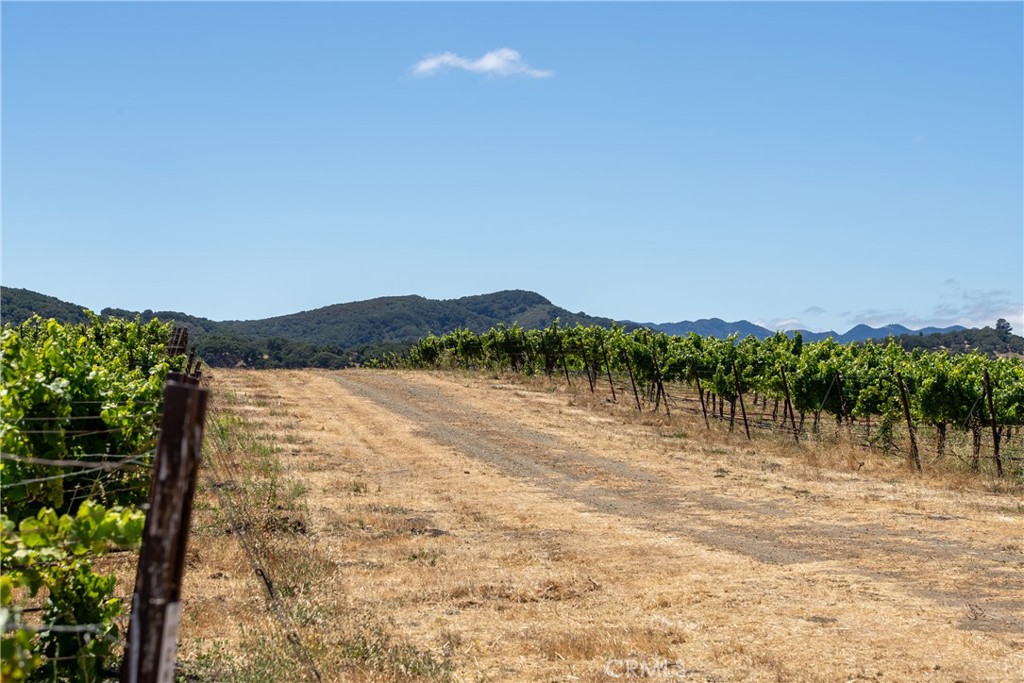 5502 Los Ranchos Road