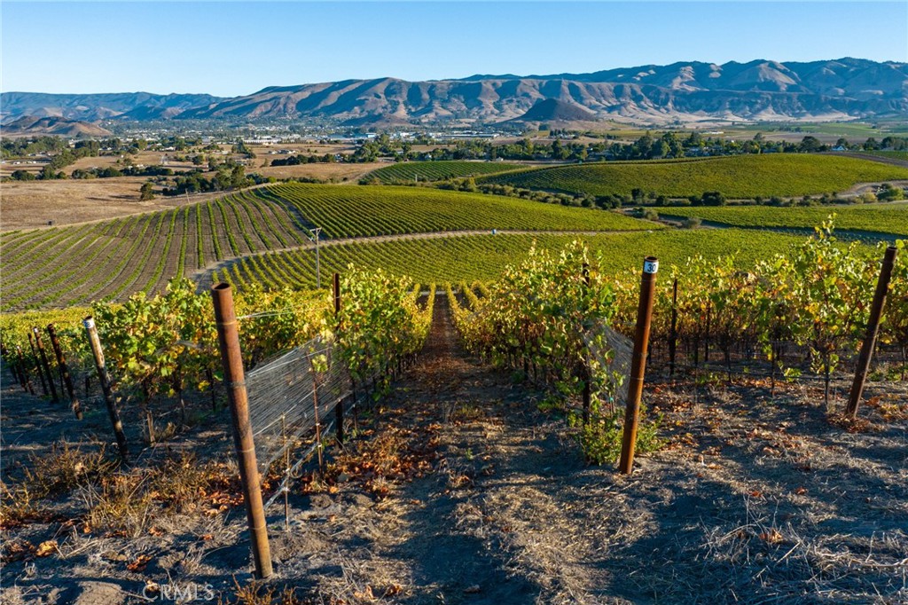 5502 Los Ranchos Road