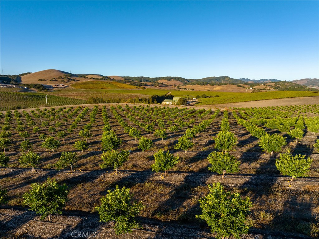 5502 Los Ranchos Road