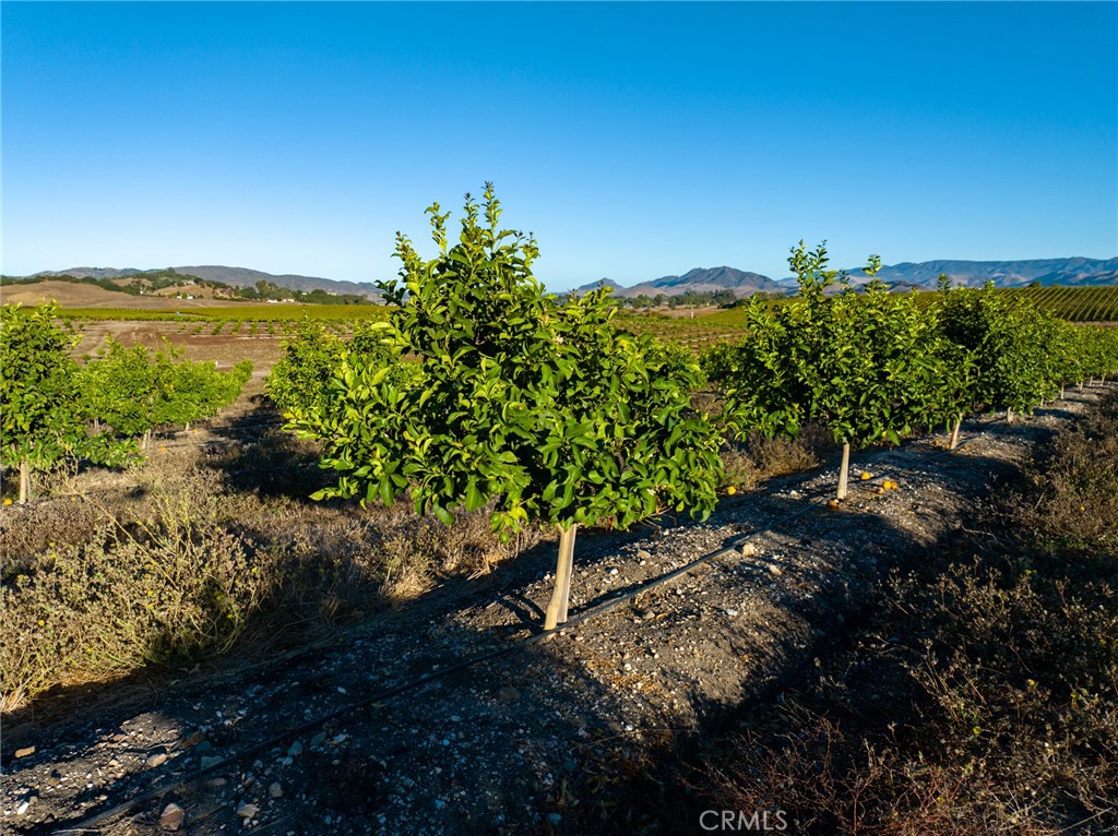 5502 Los Ranchos Road