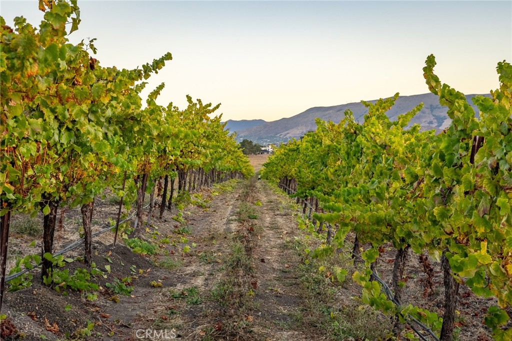 5502 Los Ranchos Road