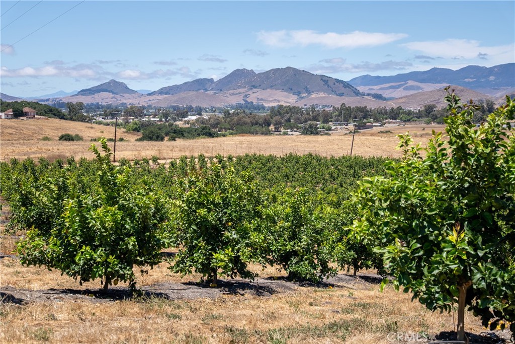 5502 Los Ranchos Road