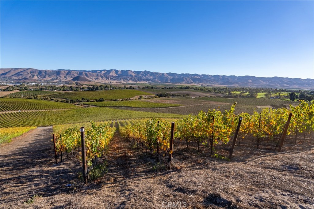 5502 Los Ranchos Road