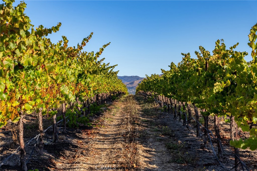 5502 Los Ranchos Road