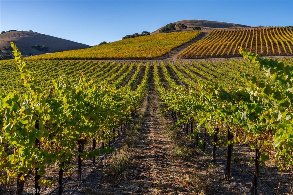 5502 Los Ranchos Road