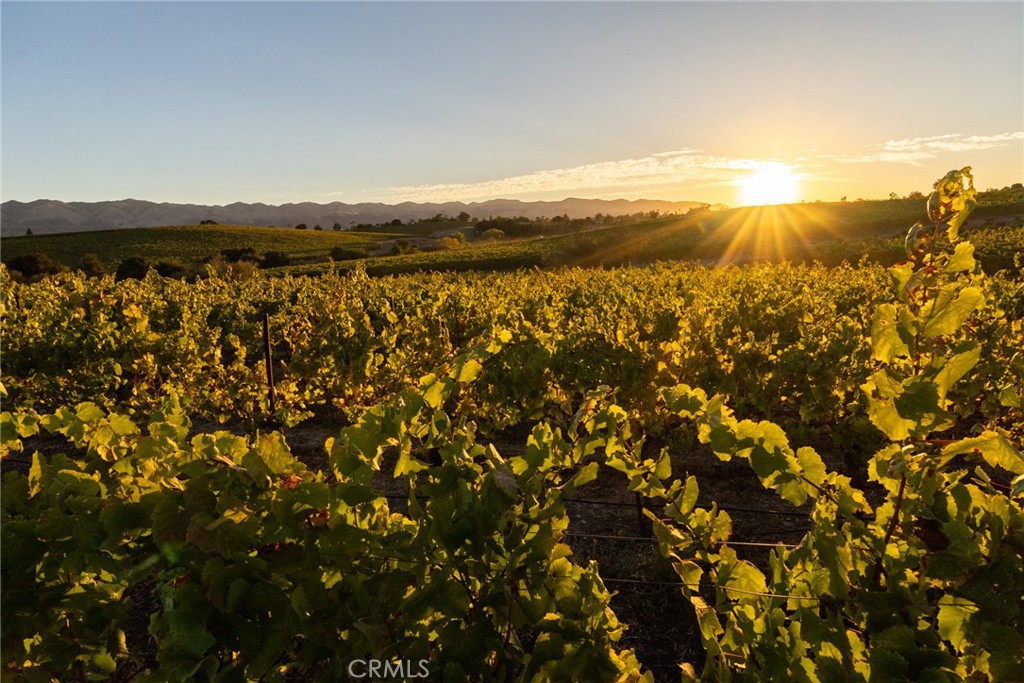 5502 Los Ranchos Road