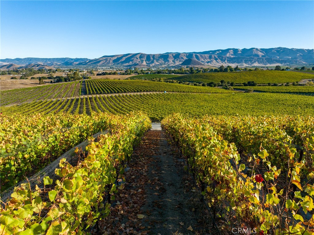 5502 Los Ranchos Road