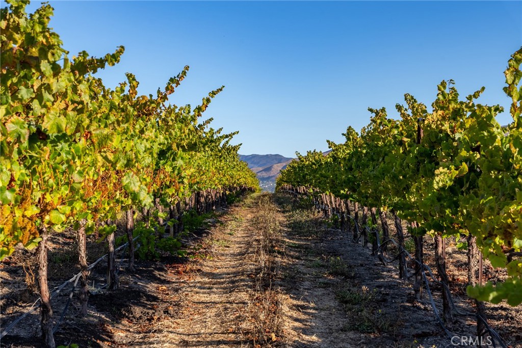 5502 Los Ranchos Road