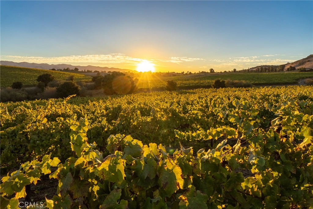 5502 Los Ranchos Road