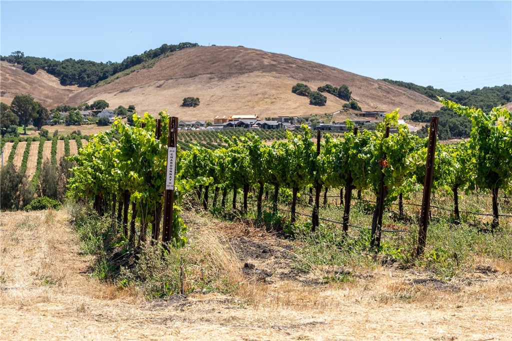 5502 Los Ranchos Road