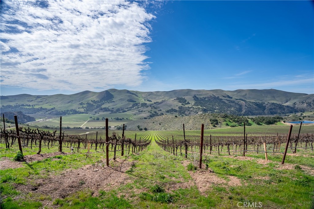 2200 White Rock Lane