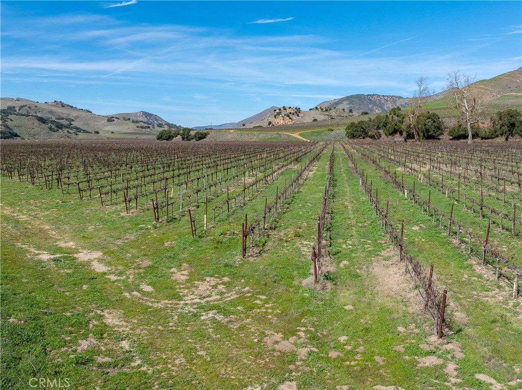 2200 White Rock Lane