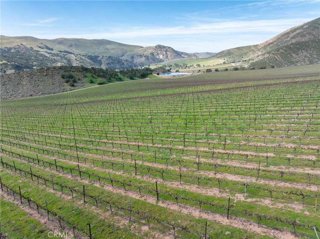 2200 White Rock Lane