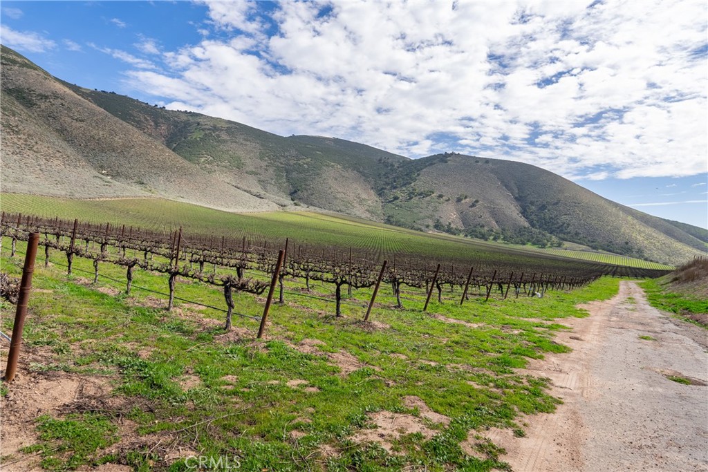 2200 White Rock Lane