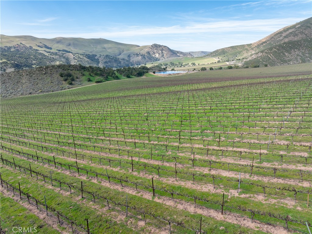 2200 White Rock Lane