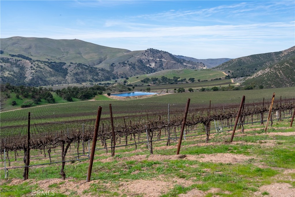 2200 White Rock Lane