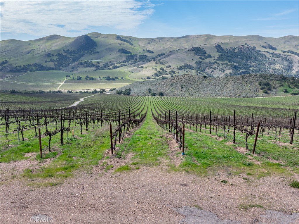 2200 White Rock Lane