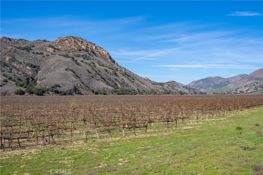 2200 White Rock Lane