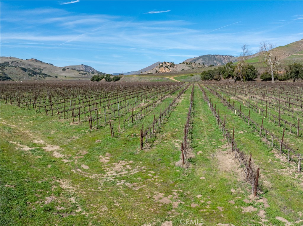 2200 White Rock Lane