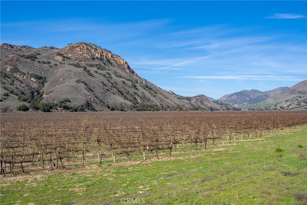 2200 White Rock Lane