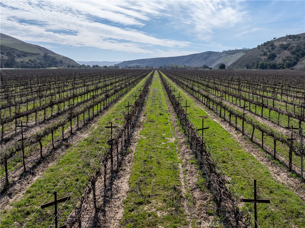 2200 White Rock Lane