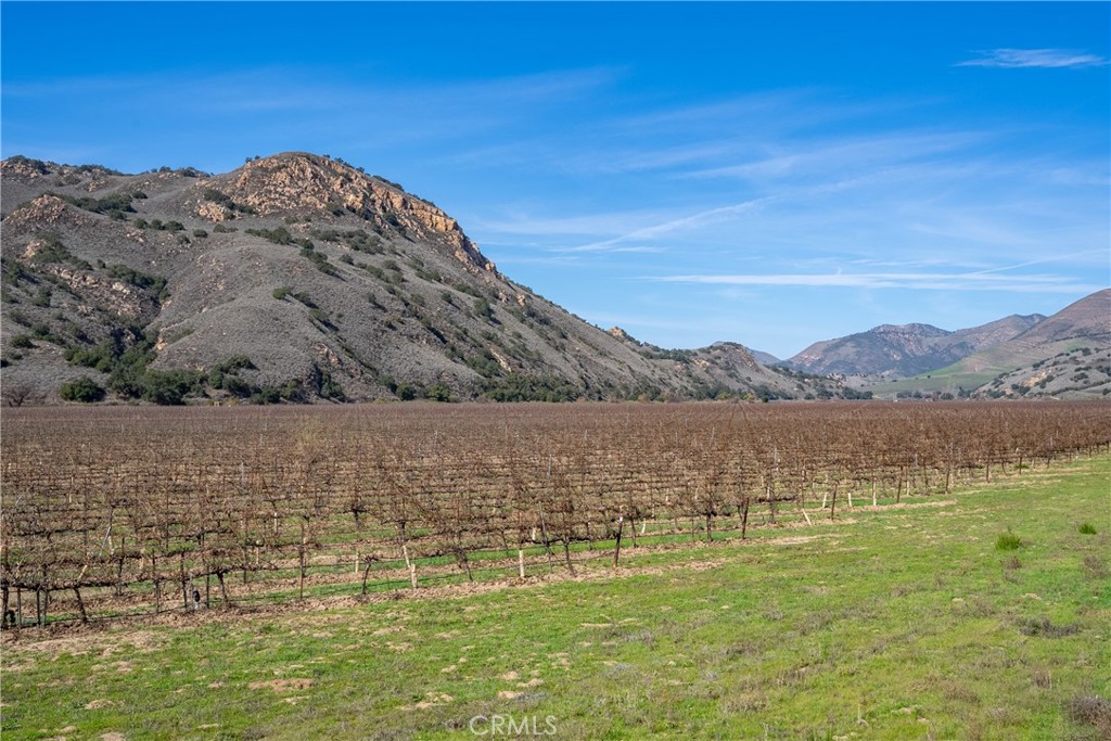 2200 White Rock Lane