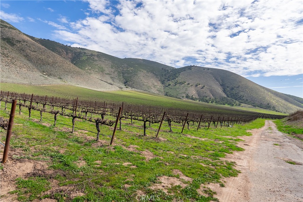 2200 White Rock Lane