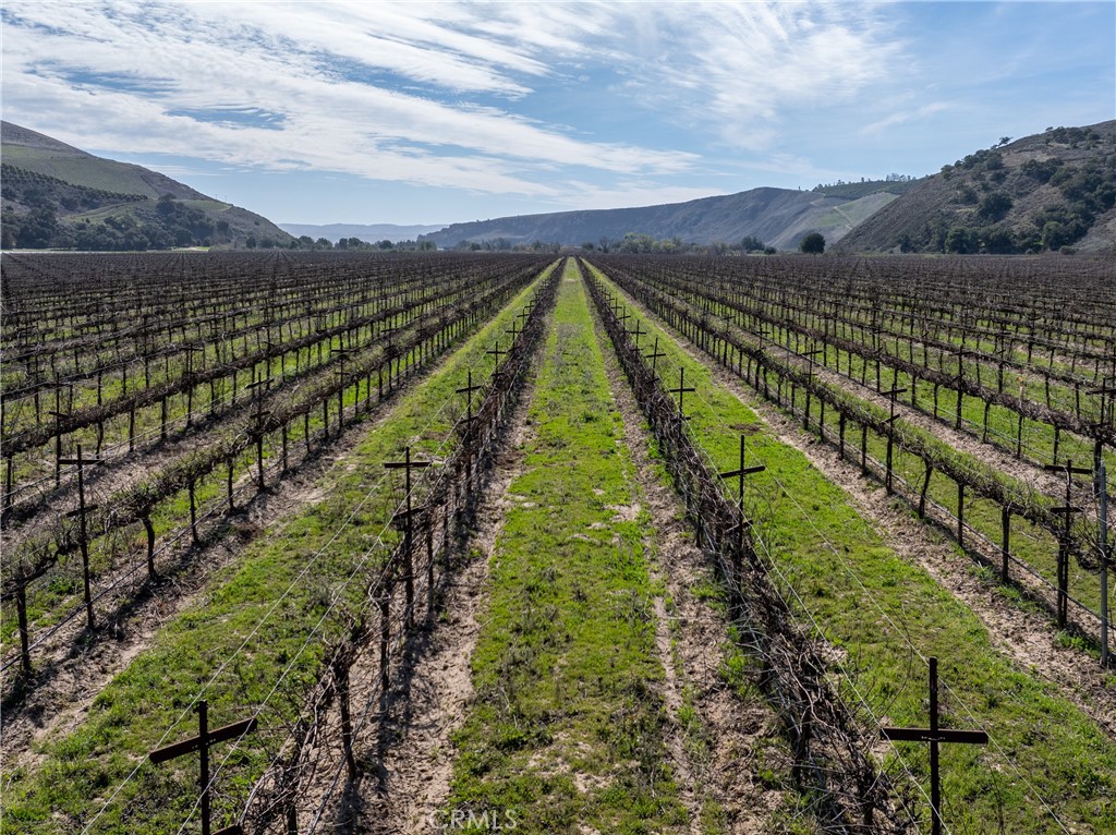 2200 White Rock Lane