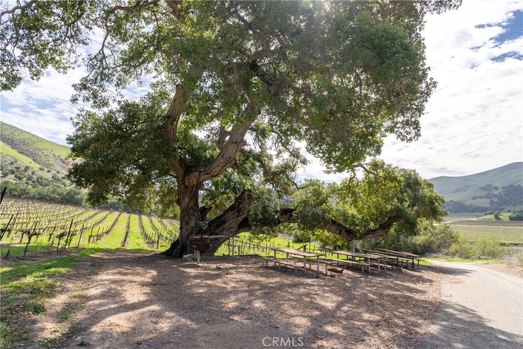 2200 White Rock Lane