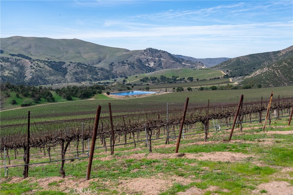 2200 White Rock Lane