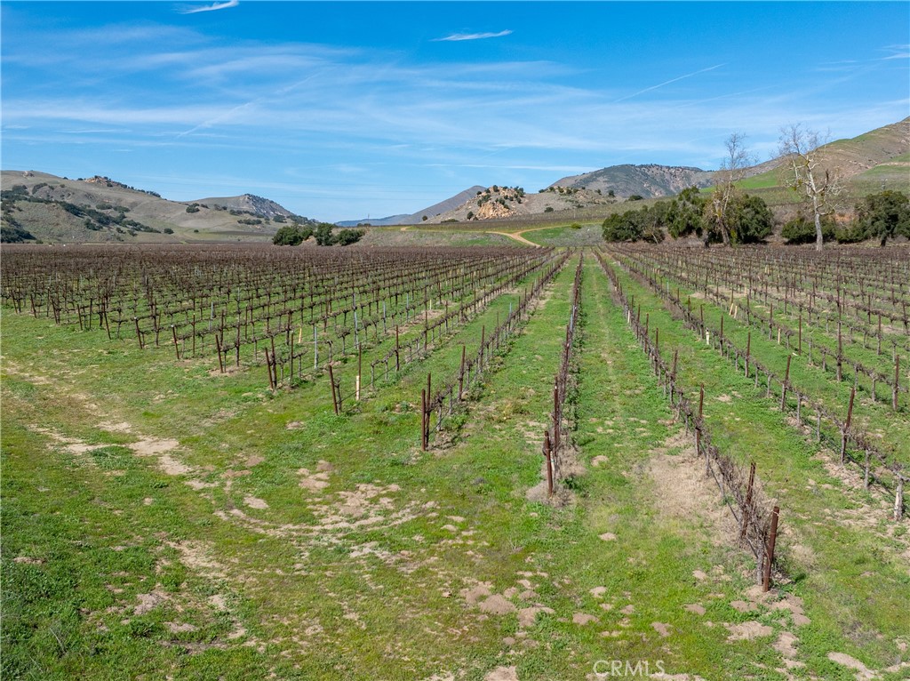 2200 White Rock Lane