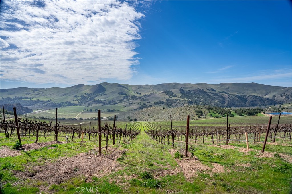 2200 White Rock Lane