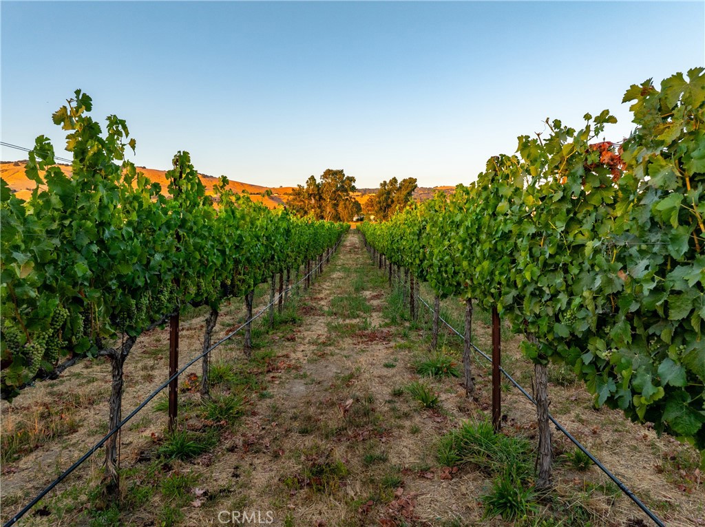 2143 Buena Vista Avenue