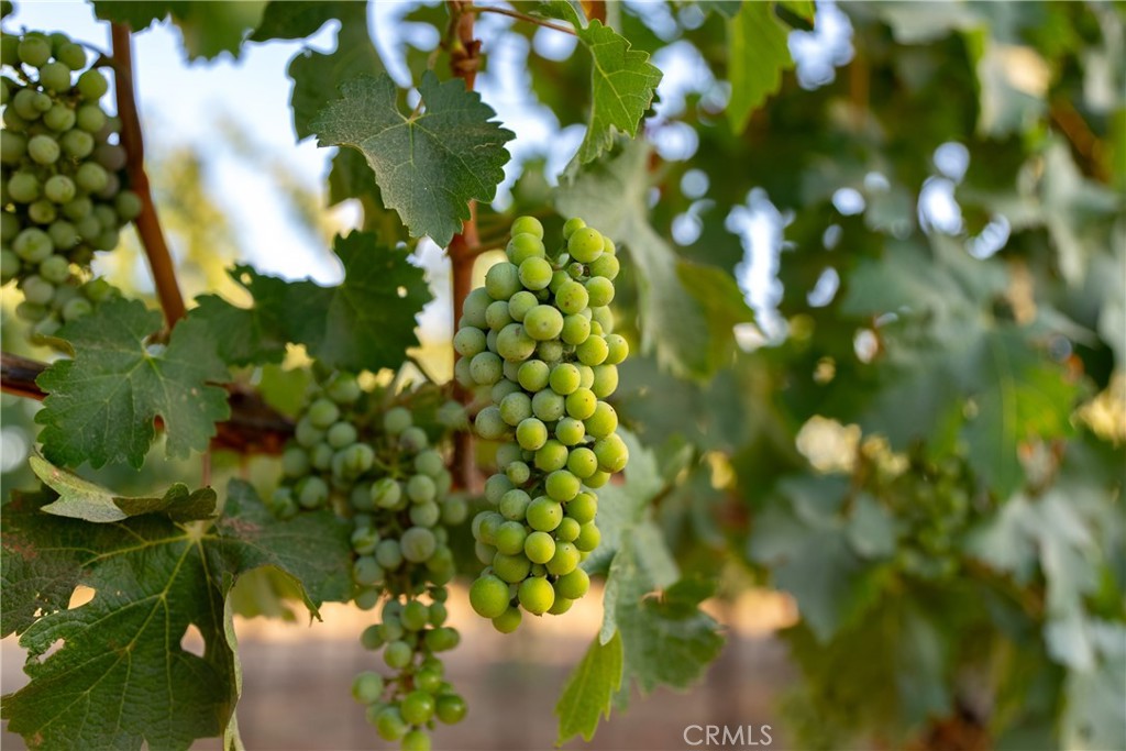 2143 Buena Vista Avenue