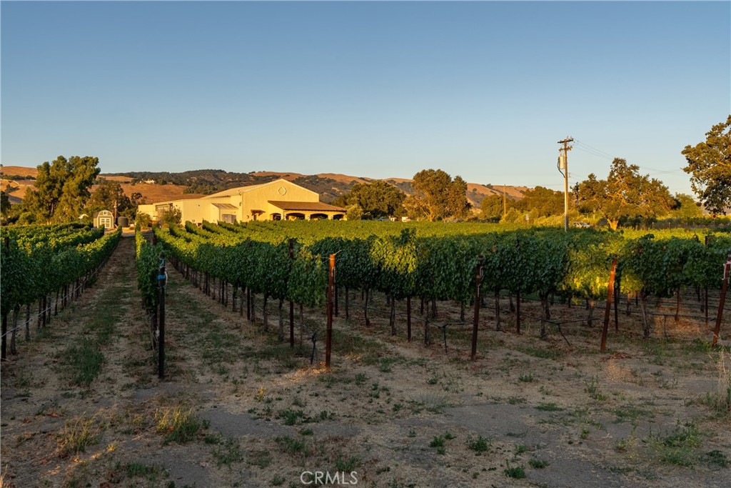 2143 Buena Vista Avenue