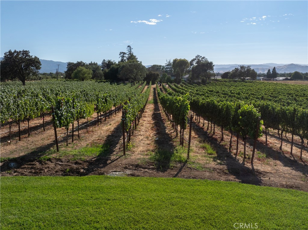 2143 Buena Vista Avenue