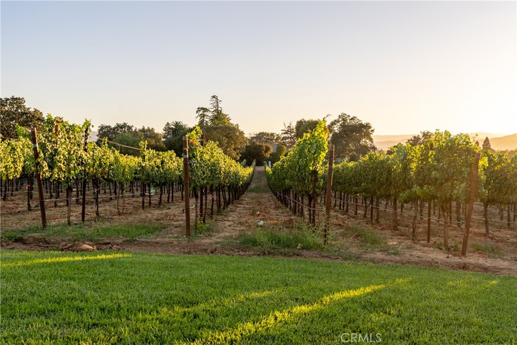 2143 Buena Vista Avenue