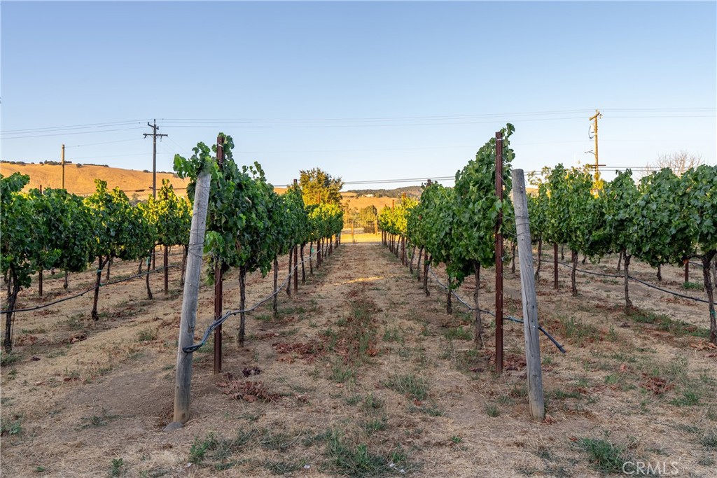 2143 Buena Vista Avenue