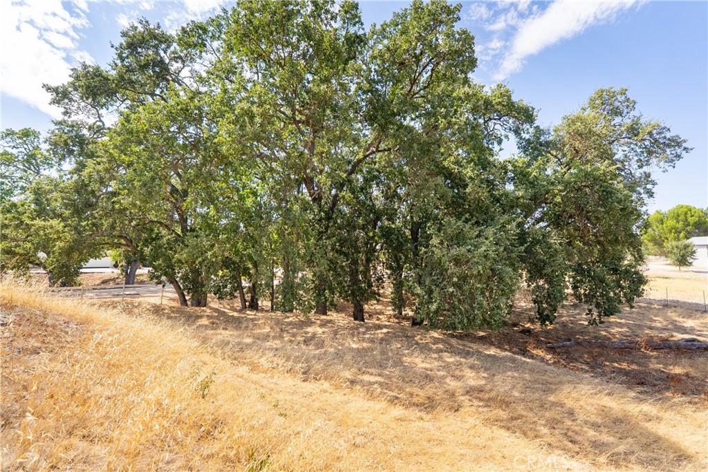 915 Santa Rita