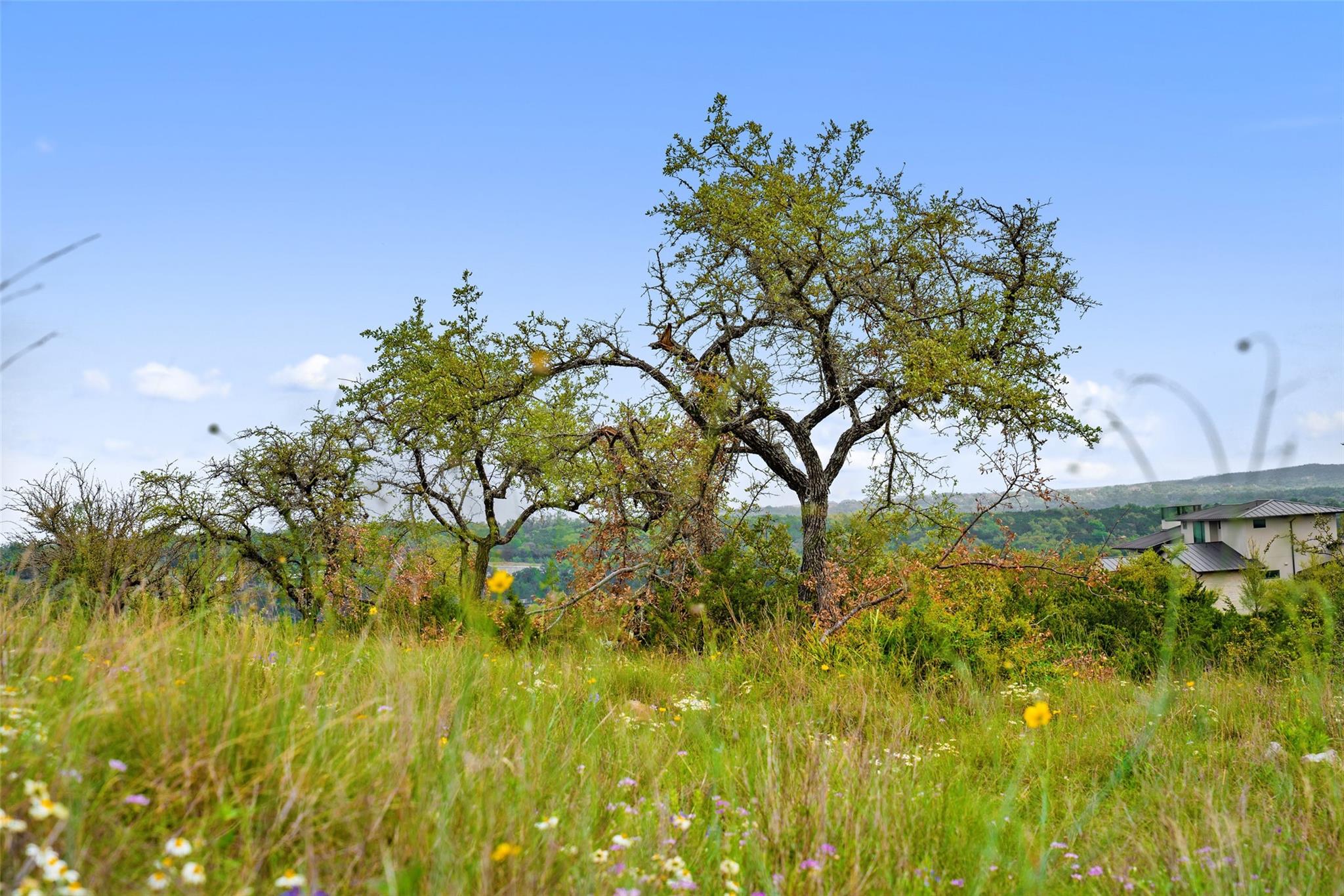 5101 Honey Daisy Way WAY