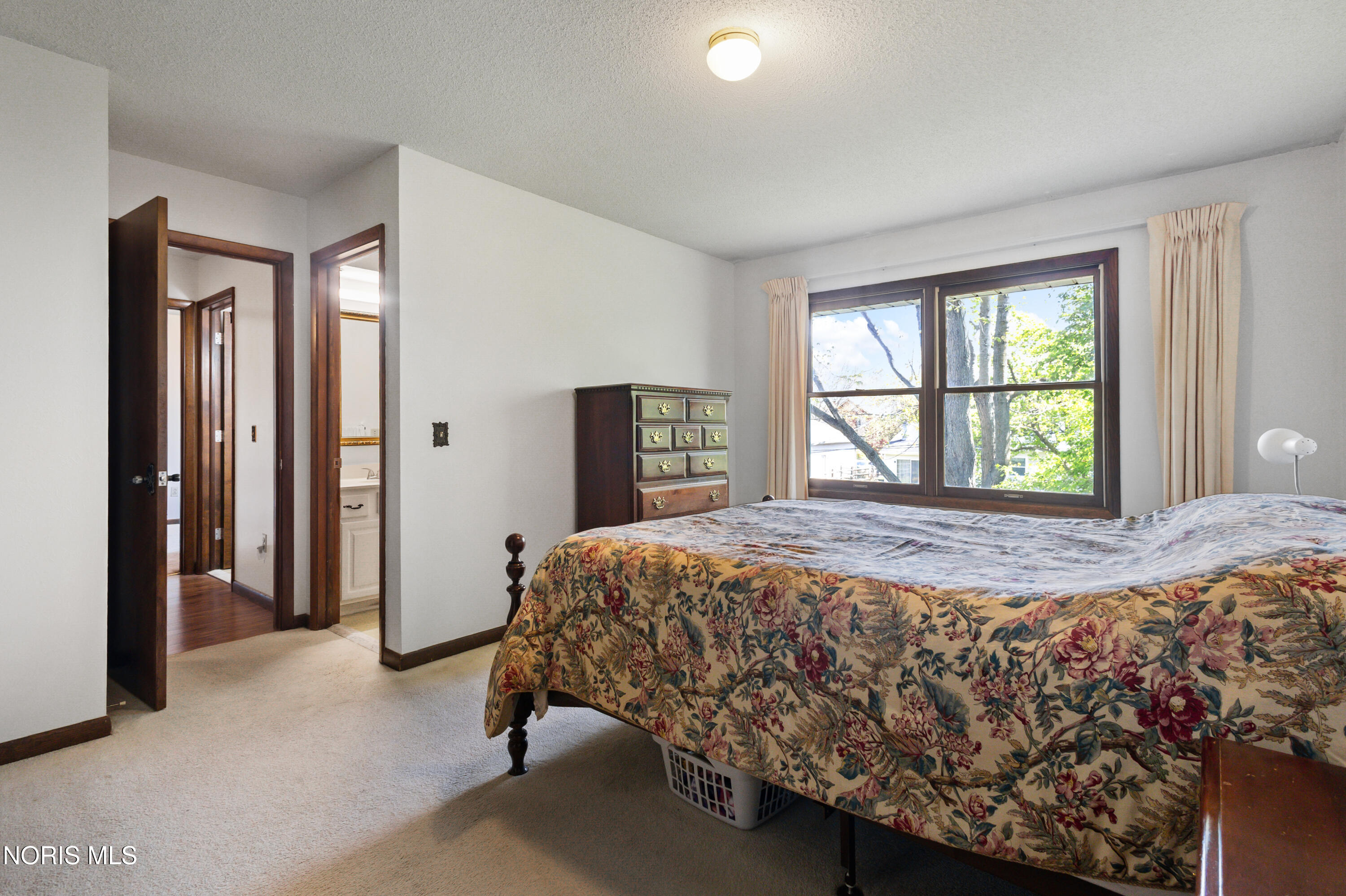 6537 Antoinette Lane