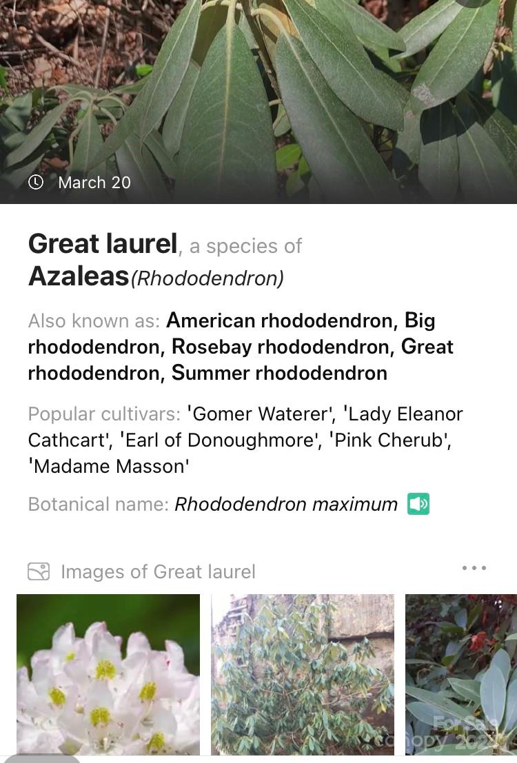 19 Robin Ridge Unit: R2