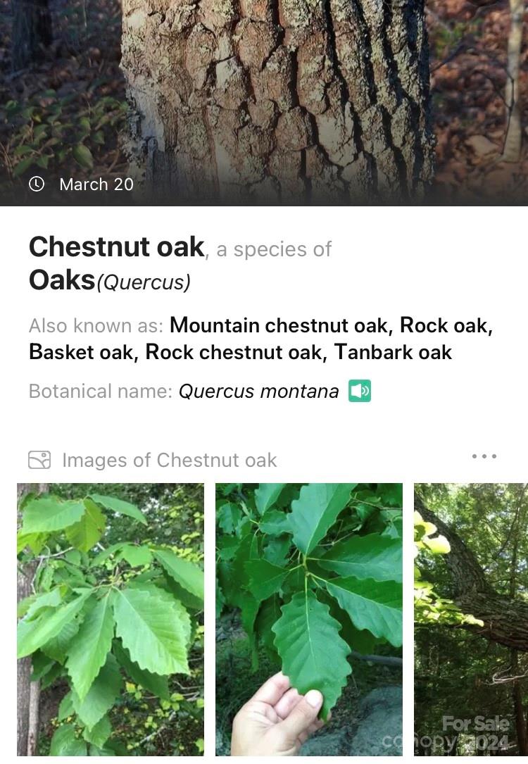 19 Robin Ridge Unit: R2