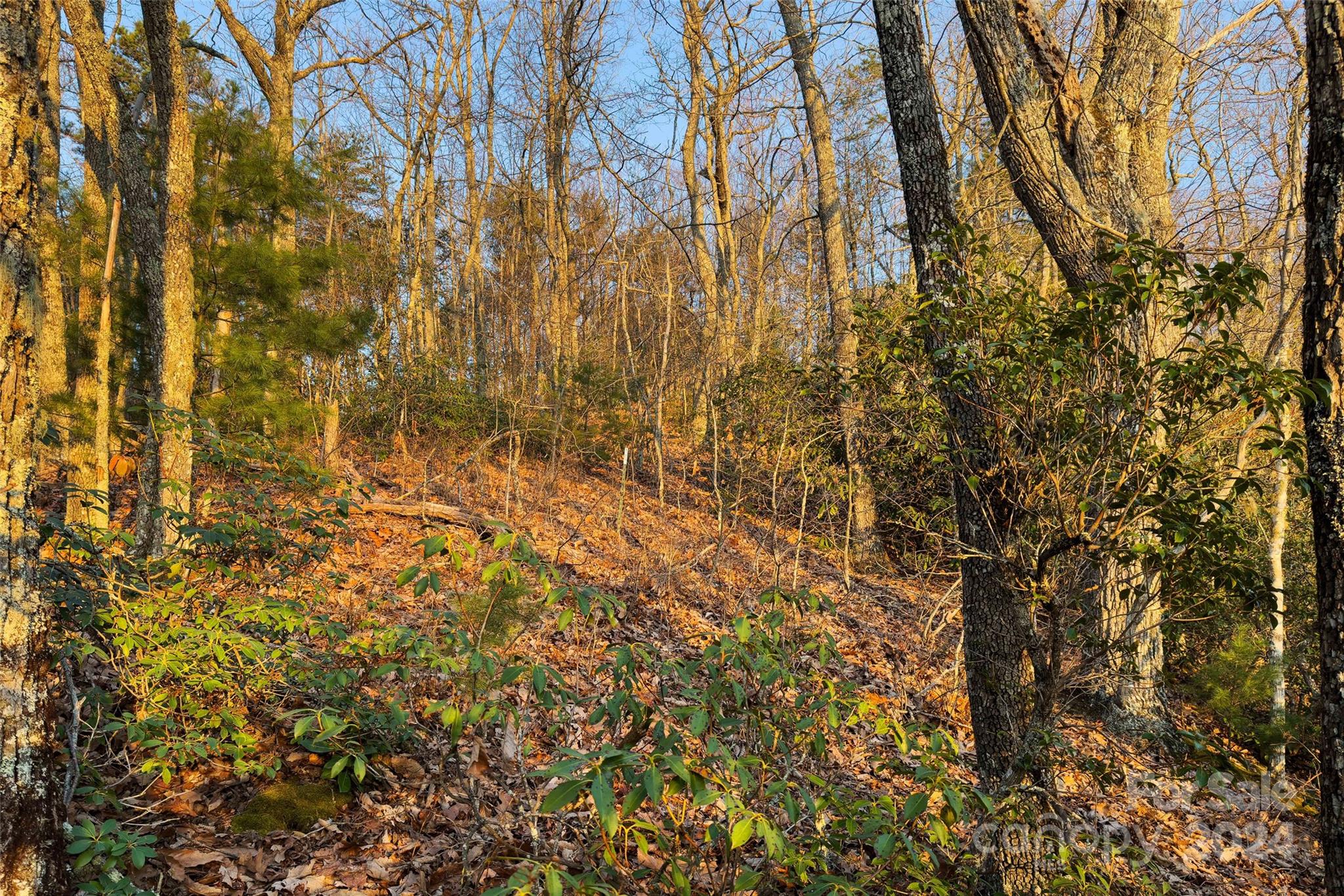 19 Robin Ridge Unit: R2