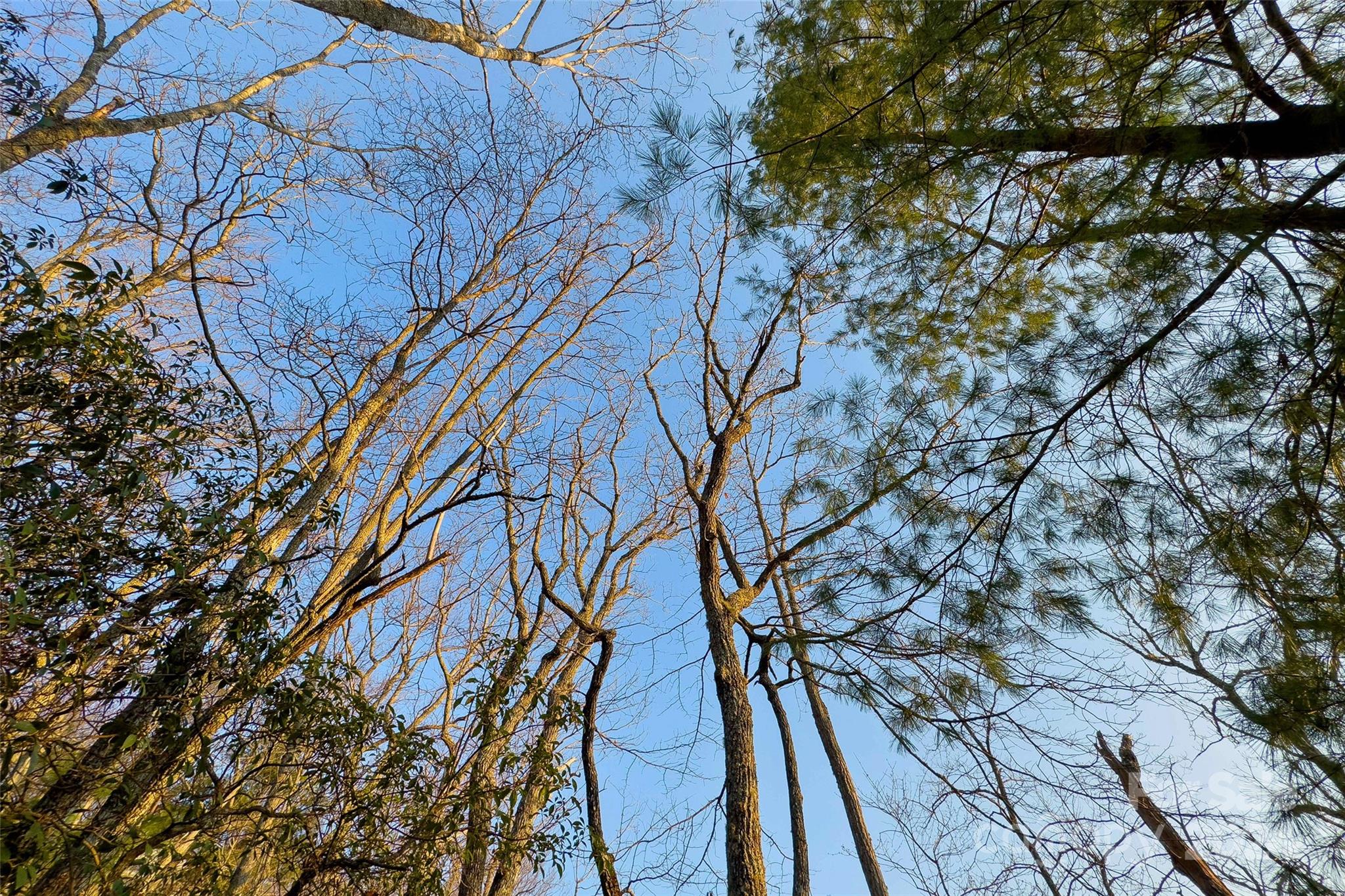 19 Robin Ridge Unit: R2