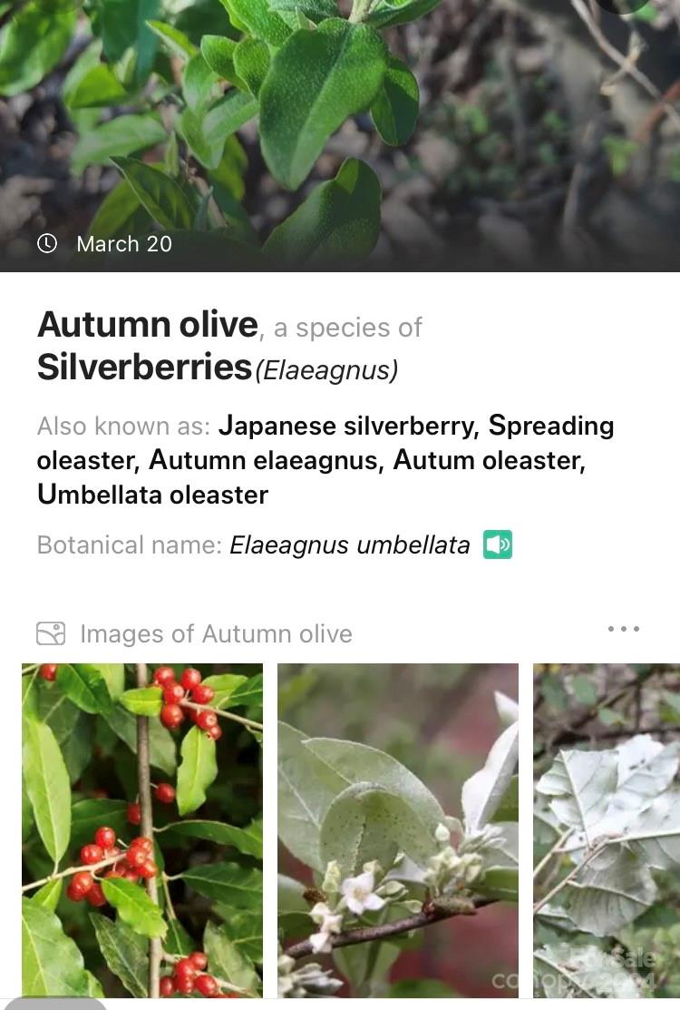 19 Robin Ridge Unit: R2