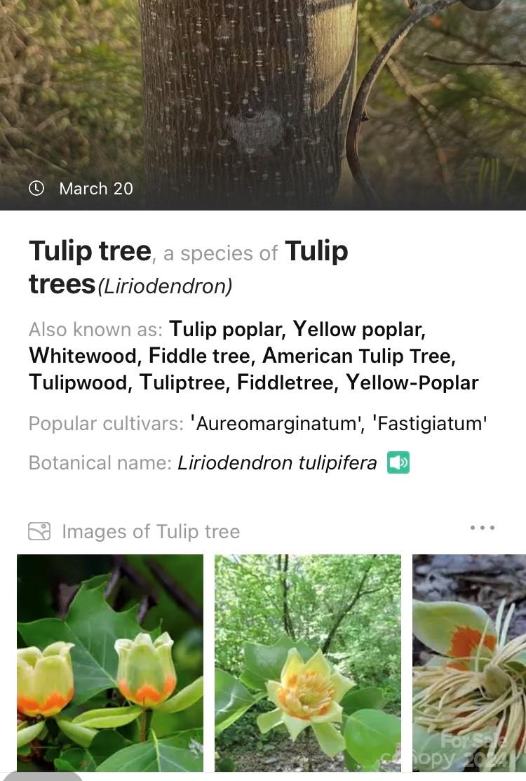 19 Robin Ridge Unit: R2