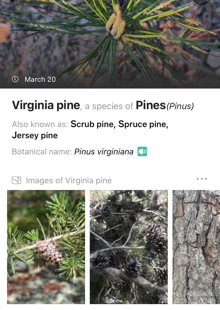 19 Robin Ridge Unit: R2